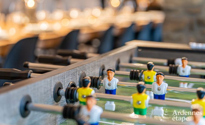 Spacious farmhouse for 14 people in Vresse-sur-Semois with 5 bedrooms, 5 bathrooms, heated indoor pool, playroom and private terrace