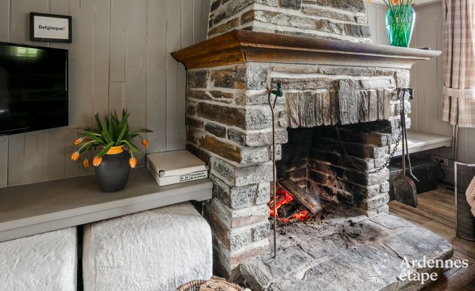 Chalet in Vresse-sur-semois for 6 persons in the Ardennes