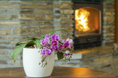 Holiday cottage in Waimes for 16/18 persons in the Ardennes