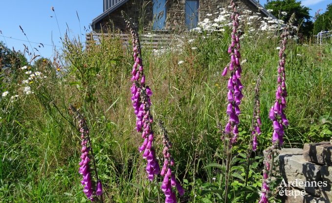 Holiday cottage in Waimes for 8 persons in the Ardennes