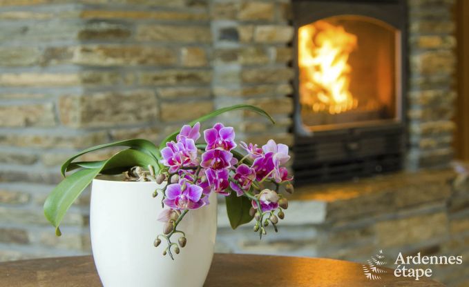 Holiday cottage in Waimes for 16/18 persons in the Ardennes