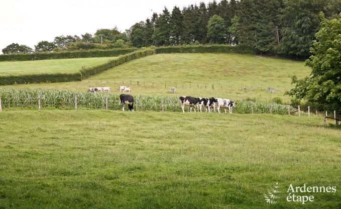 Holiday cottage in Waimes for 24 persons in the Ardennes