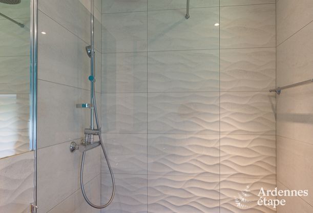 Luxury villa in Waimes for 12 persons in the Ardennes