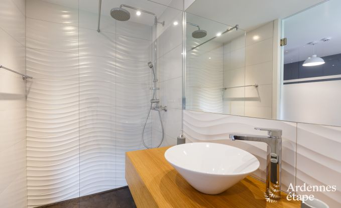 Luxury villa in Waimes for 12 persons in the Ardennes