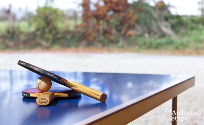 Luxury villa in Waimes for 9 persons in the Ardennes