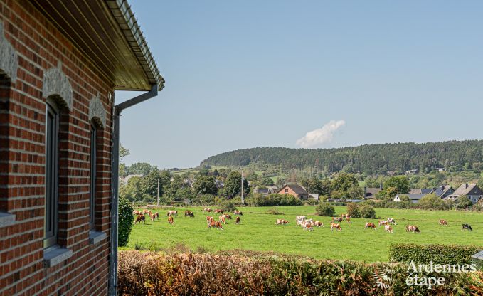 Holiday cottage in Wellin for 8 persons in the Ardennes