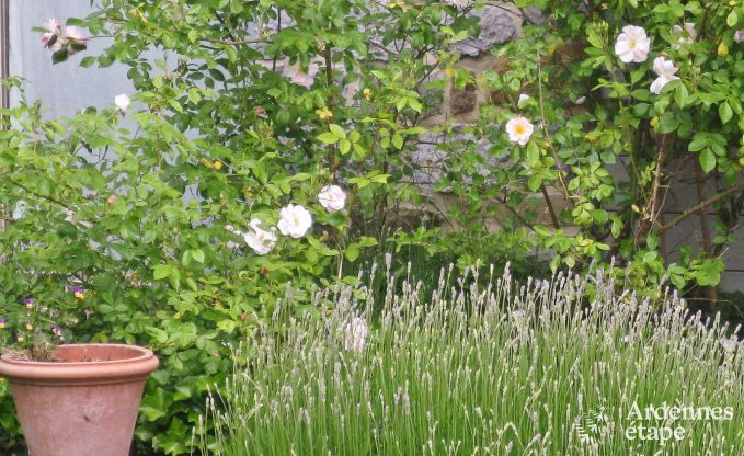 Holiday cottage in Yvoir for 4/5 persons in the Ardennes