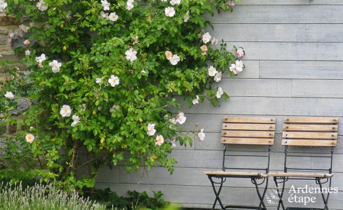 Holiday cottage in Yvoir for 4/5 persons in the Ardennes