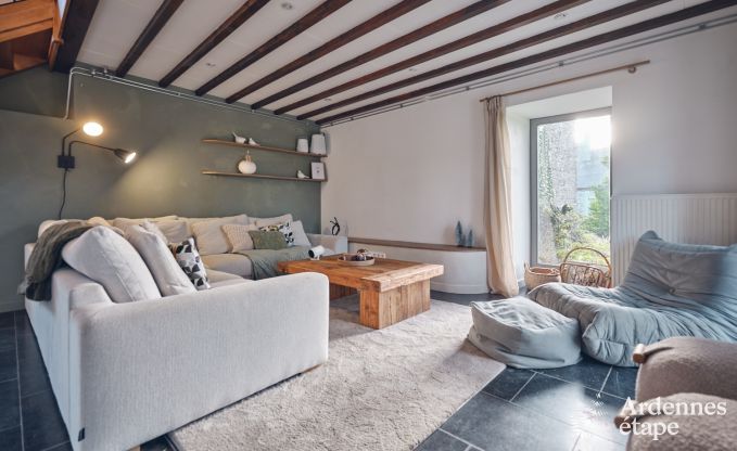 Charming village house for 10 people in Yvoir: hot tub, fireplace, large private garden