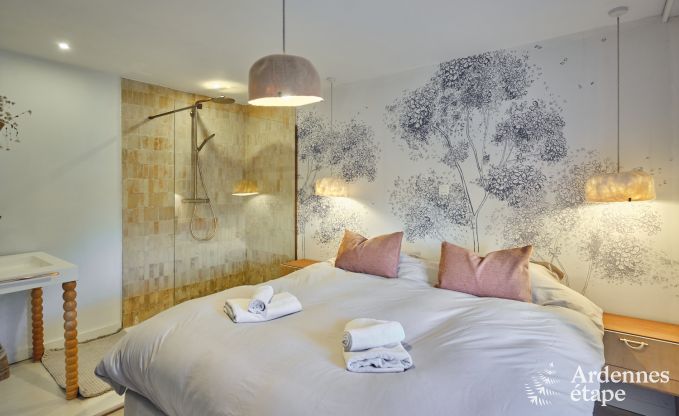 Charming village house for 10 people in Yvoir: hot tub, fireplace, large private garden