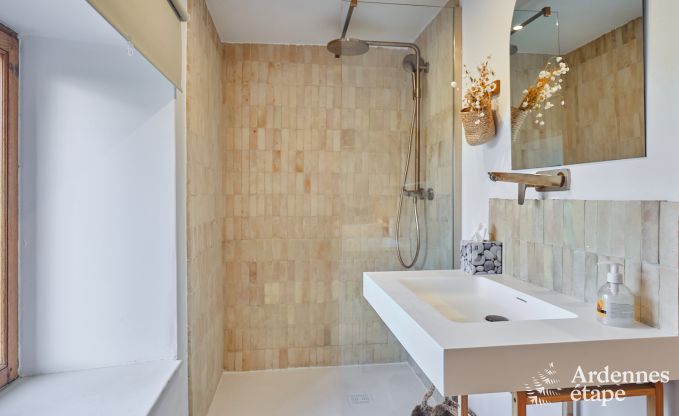 Charming village house for 10 people in Yvoir: hot tub, fireplace, large private garden